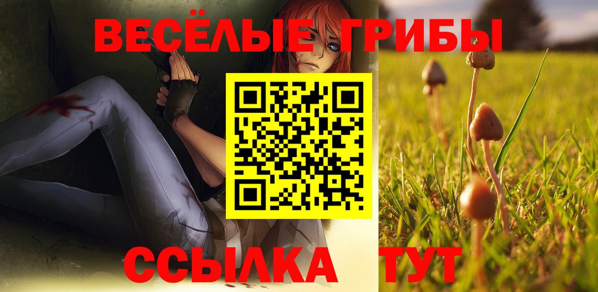 Галлюциногенные грибы Psilocybine cubensis  Псилоцибиновые грибы ЛСД  Вход с VPN  Копейск 